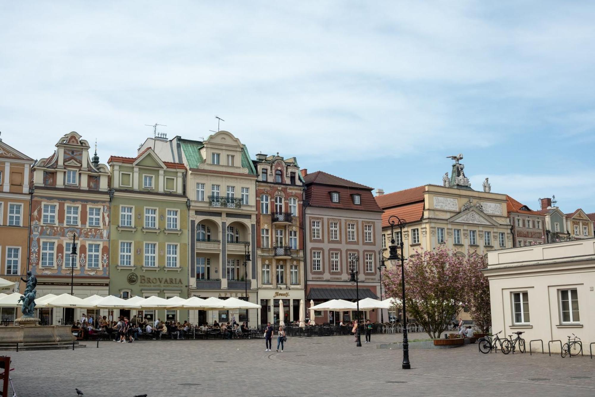Apartamenty Drevny Kocur Poznan Bagian luar foto